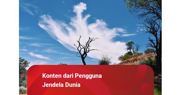 Warteg Tidar: Rasa Rumah yang Menggigit Lidah di Jantung Cilacap